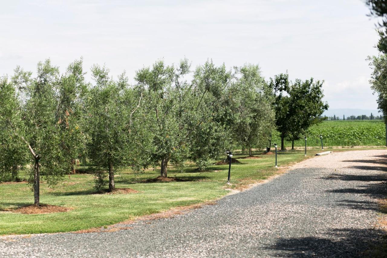 Agriturismo Valdo Гросето Екстериор снимка