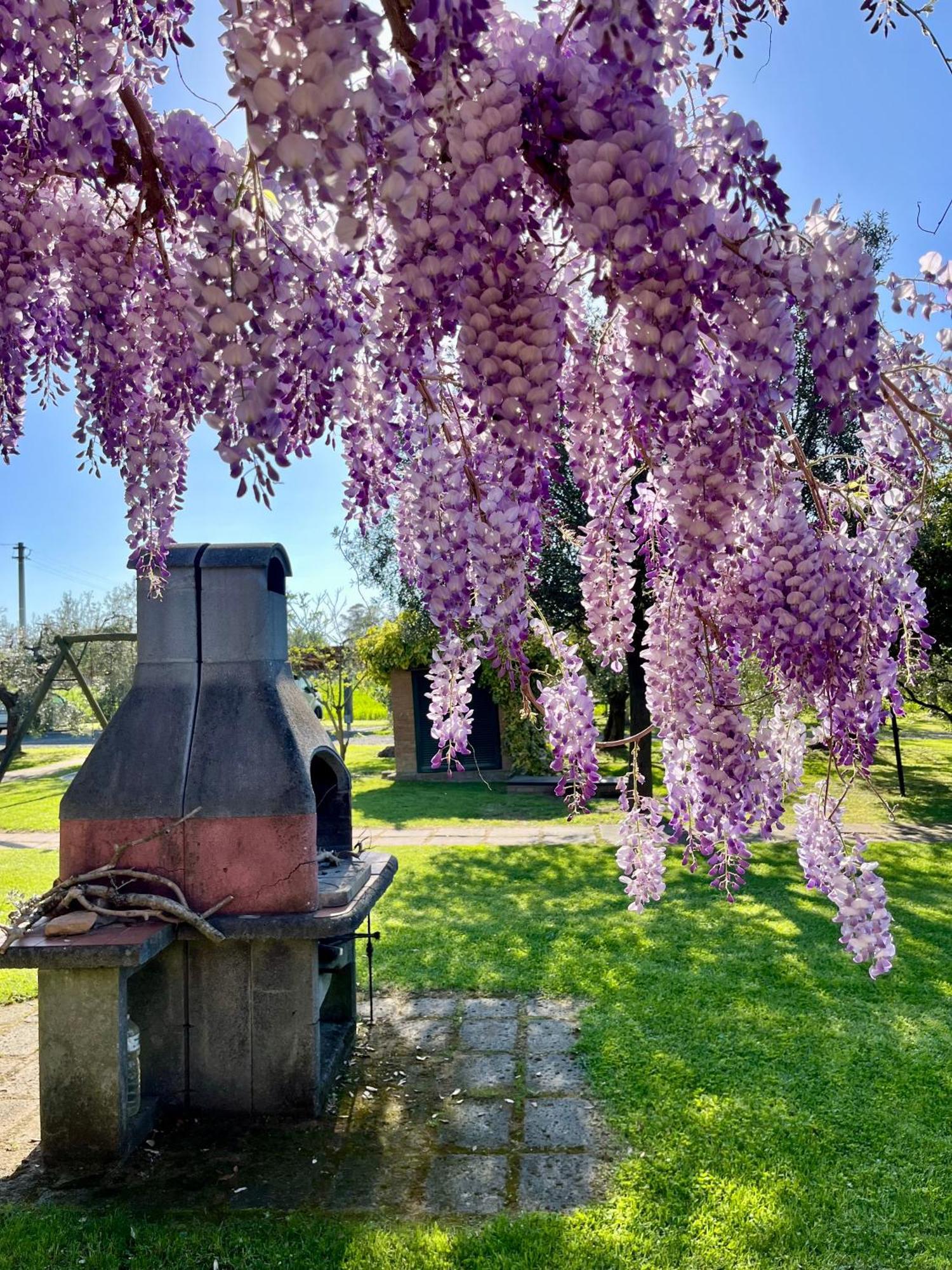 Agriturismo Valdo Гросето Екстериор снимка
