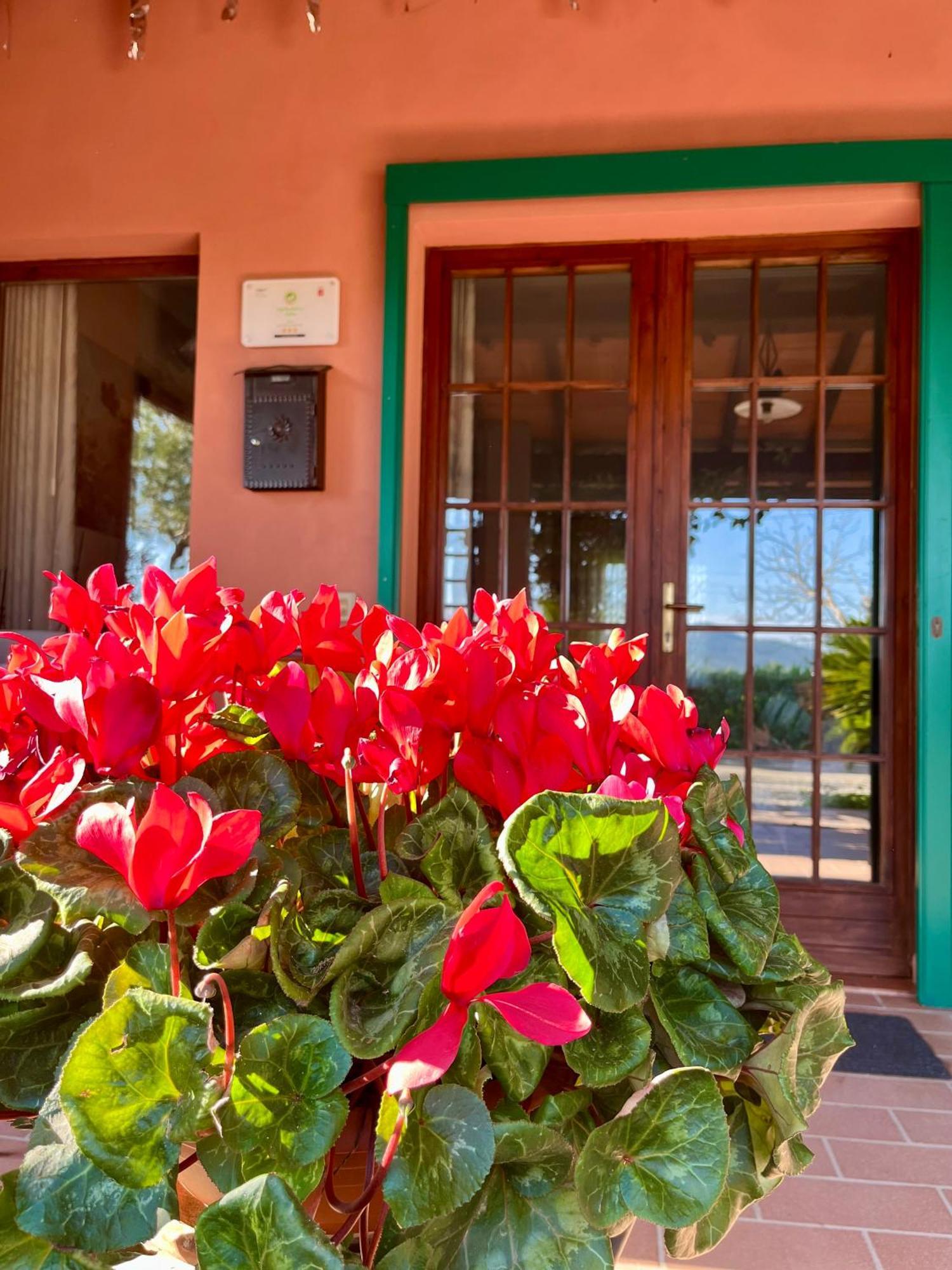 Agriturismo Valdo Гросето Екстериор снимка