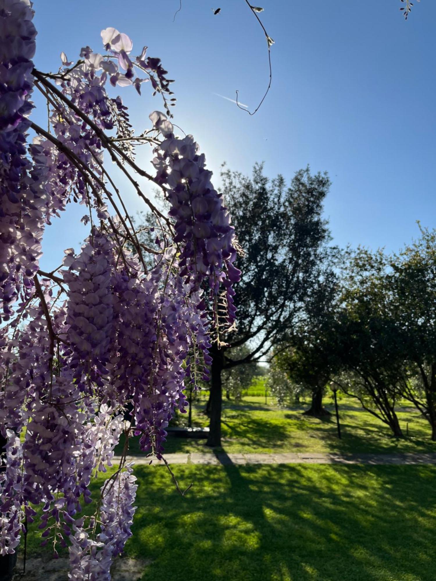 Agriturismo Valdo Гросето Екстериор снимка